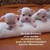 FB_IMG_1541618166094.webp