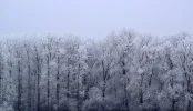 dsc_06487kxqc.webp