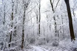 dsc_0676qtqw6.webp