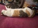 20181108_162350.webp