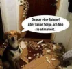 FB_IMG_1541686051272.webp