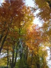 IMG_9768.webp