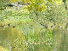 DSCF0836 (2).webp