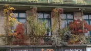 20181110_090840.webp