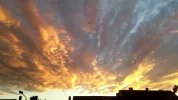 CAM04248.webp
