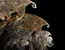 FABERGE 121118_3.webp