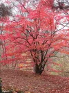 IMG_0024.webp