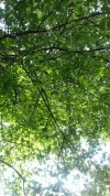 20180609_153929.webp