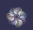 FABERGE 131118_12.webp
