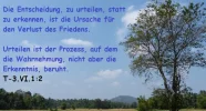 L1030509zujtzj.webp