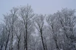dsc_06639oan8.webp