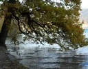 SAM_2092.webp