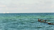DSCF0015 (2).webp