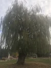 F625FE01-7DD3-4DD1-9DED-E04CD6B7B175.webp