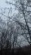 20180201_091133.webp