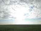 IMG_0191 (2).webp