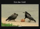 3 Vögel erst das geld.webp