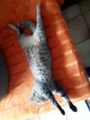20181117_115116.webp