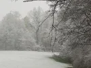 20181119_074432.webp