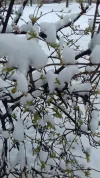 20180221_093729.webp