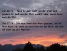 DSC04245.webp