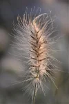 K800_DSC_7023.webp