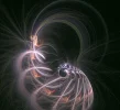 FABERGE 211118_1.webp