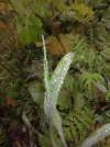 IMG_0361 (3).webp