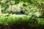 DSC_1377.webp