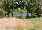IMG_20160919_042301.webp