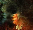 FABERGE 231118_4.webp