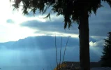 SAM_2112.webp