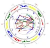 hajoba (1).webp