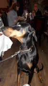 20181124_211046.webp
