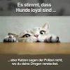 sprücheapp_65439.webp