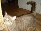 DSC00037.webp