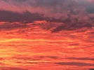 61577EB5-2B22-4C51-8B33-33ED115ED908.webp