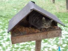FB_IMG_1543688472447.webp