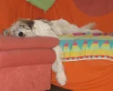IMG_0459 (2).webp