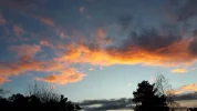 20181203_160625.webp