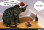 IMG-20181206-WA0011.webp