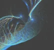 FABERGE 061218_2.webp