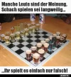 4 Schach.webp