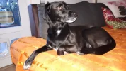 20181208_155112.webp