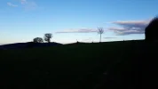 20181208_150838.webp