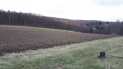 20181208_151558.webp