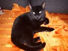 20181108_162339.webp