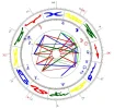 hajoba.webp