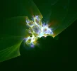 FABERGE 081218_12.webp