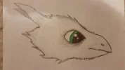 20181210_180538.webp